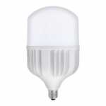 80W E27 LED WHITE LAMP 6400K 175-250V TORCH-80